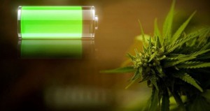 Cannabis-Based-Batteries