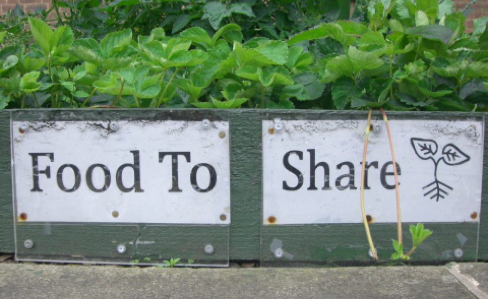 Food to share! Photo: Incredible Edible.
