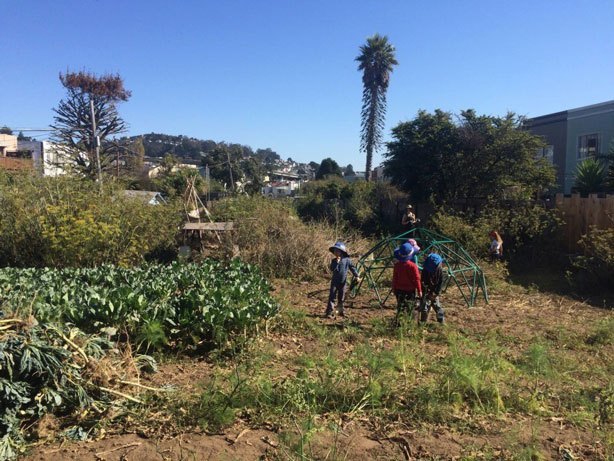 Golden-Bridges-Land-school-urban-farm-urbangardensweb