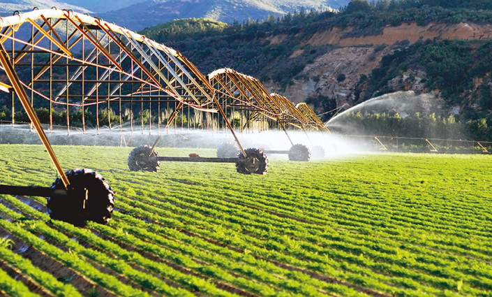 Crop productivity on irrigated land is 2.7-fold higher than that of rainfed agriculture, which  is nevertheless practiced on 80% of global cropland © shutterstock