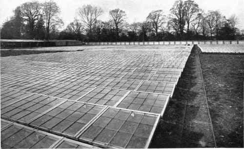 Hot frames and cloches