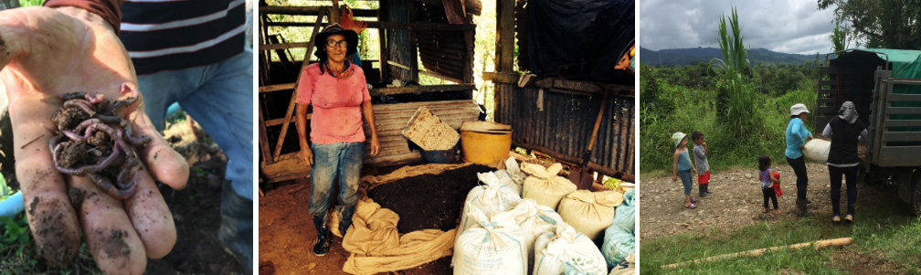 Community Tree Nurseries