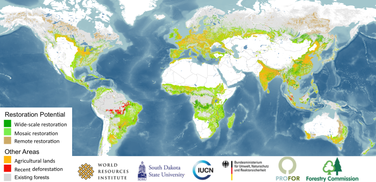 forest_restoration_map_2011-09_hires